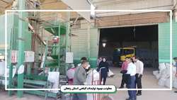 بازدید معاون بهبود تولیدات گیاهی سازمان جهاد کشاورزی استان زنجان از مرکز بوجاری و فرآوری بذر شرکت مهرورزان شهرستان خدابنده